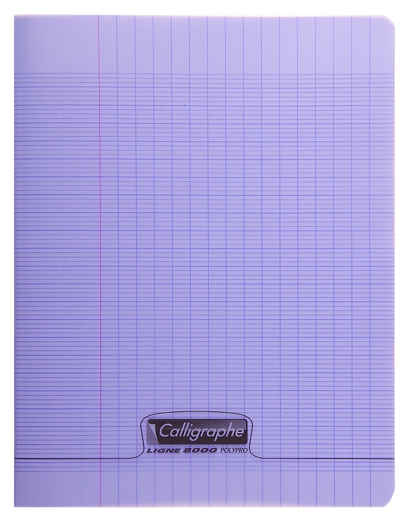 Cahier piqué 8000 POLYPRO 24x32 cm 48 pages grands carreaux 90 g