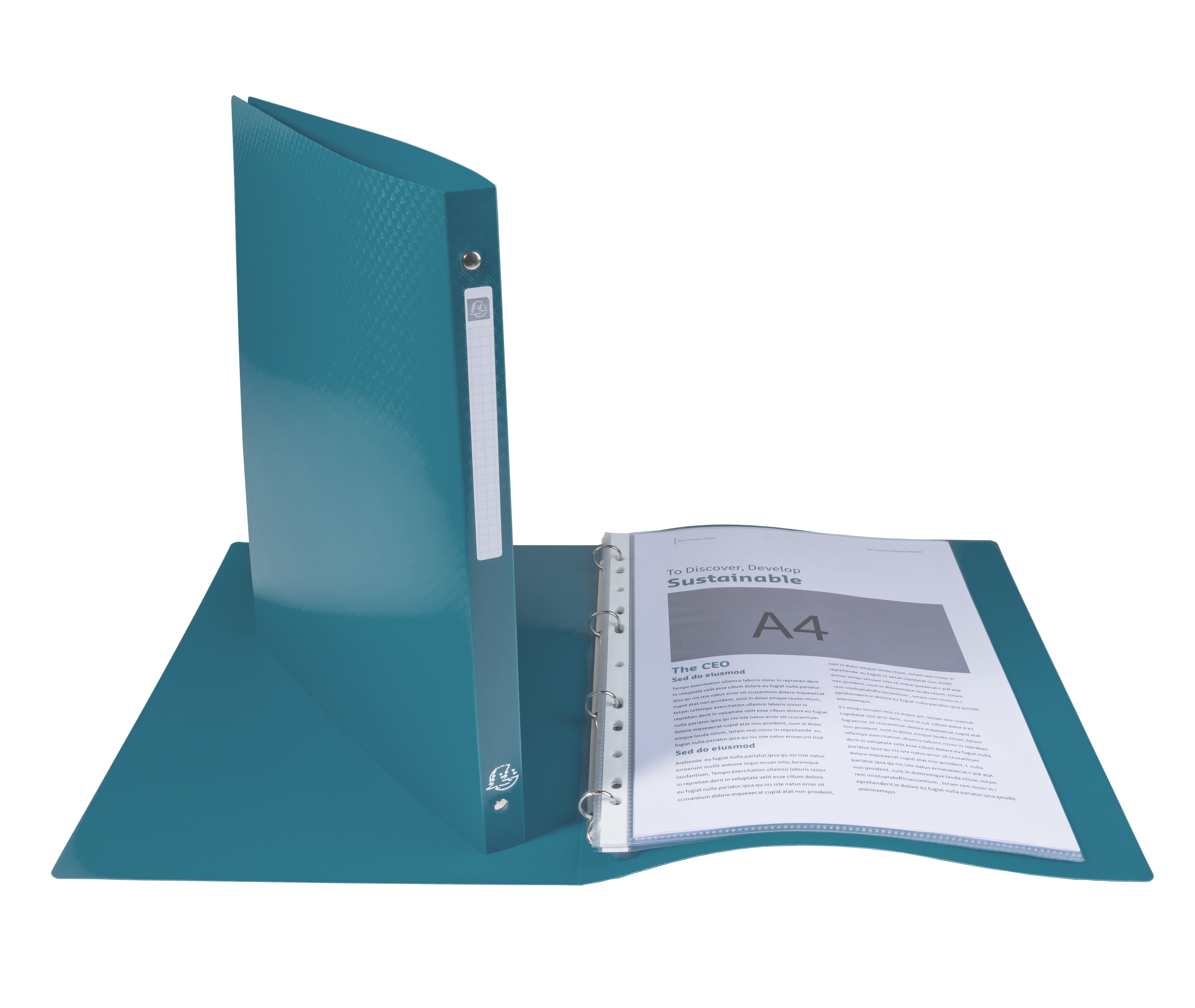 Classeur 4 anneaux 15mm polypropylène OPAK - A4 