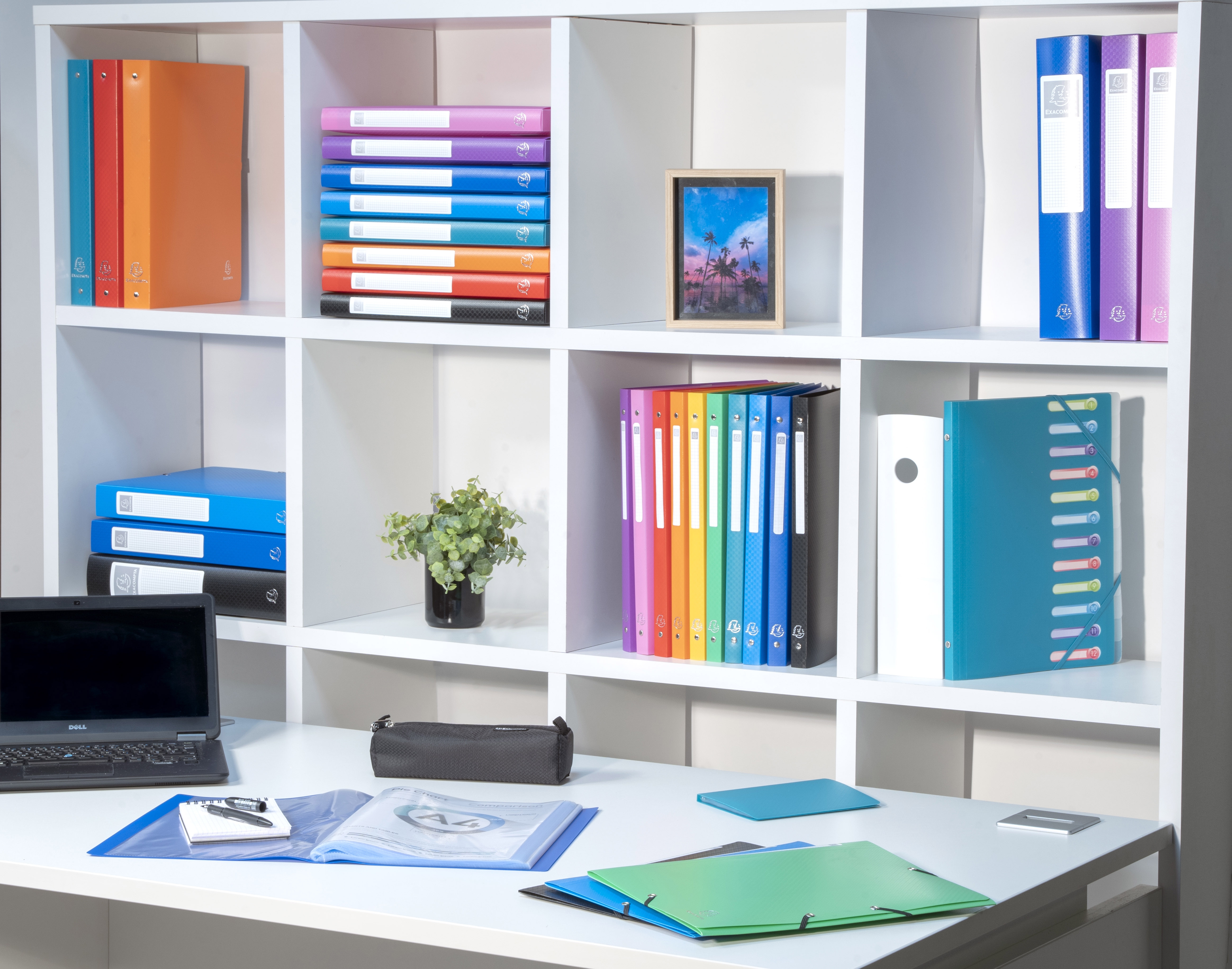 Classeur 4 anneaux 15mm polypropylène OPAK - A6