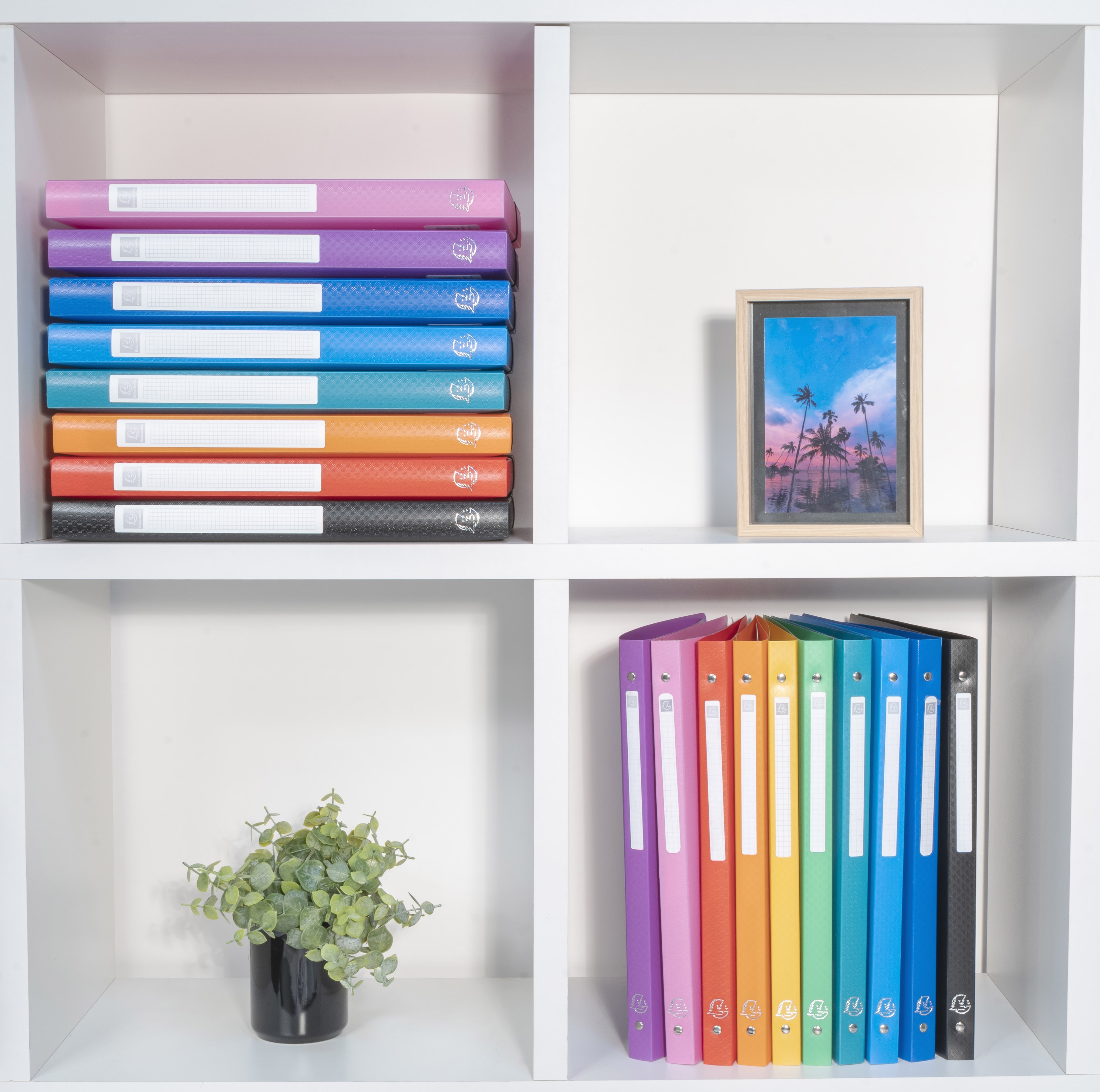 Classeur 4 anneaux 15mm polypropylène OPAK - A7