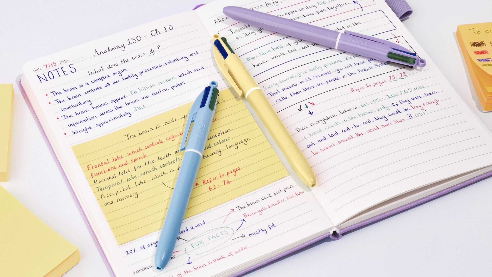 BIC 4 Couleurs Pastel - Stylos-Bille Pointe Moyenne (1,00 mm) - Couleurs Assorties, Pack de 3