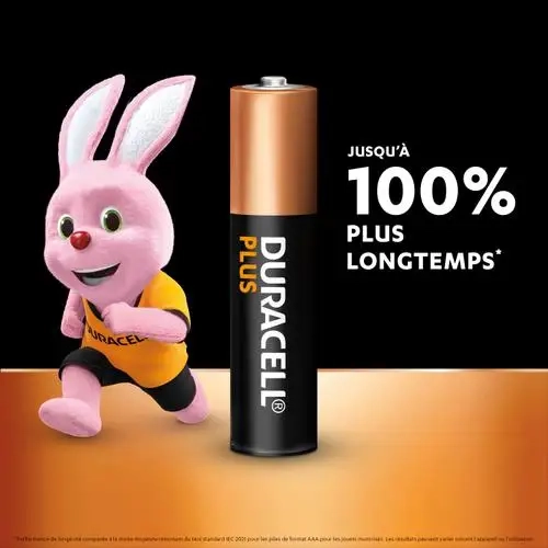 DURACELL Piles alcalines AAA Plus 100%, 1,5V LR03 MN2400, lot de 12 piles
