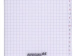 Répertoire piqué 8000 POLYPRO 11x17 cm 96 pages petits carreaux 90 g